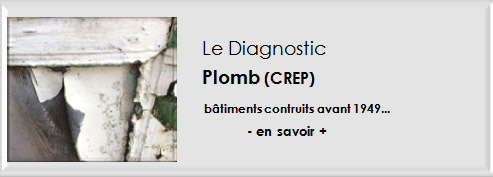 Diagnostic Plomb